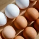 Portaria sobre ovos de consumo representa avanço e segurança para o setor produtivo